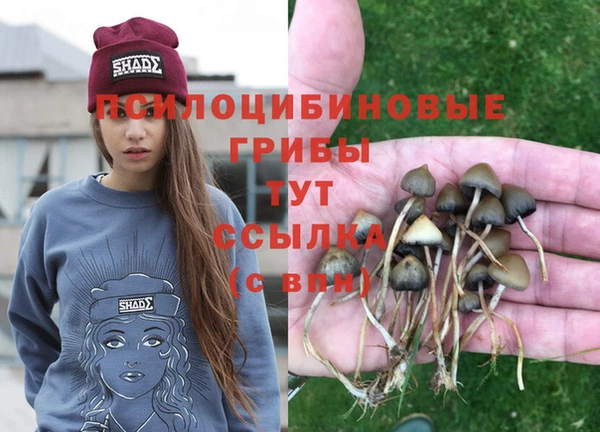 марки nbome Арсеньев