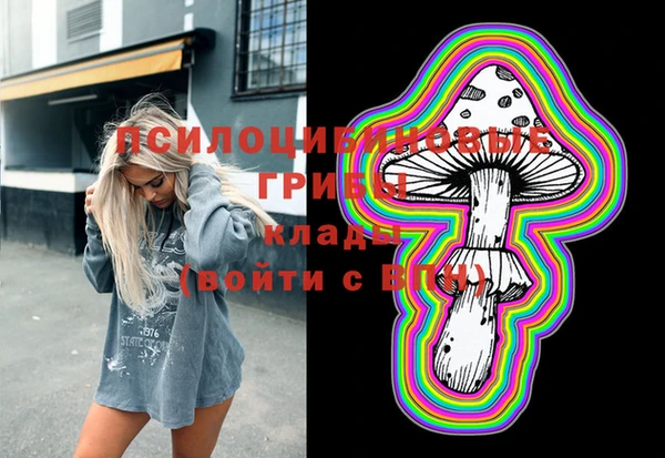 винт Армянск