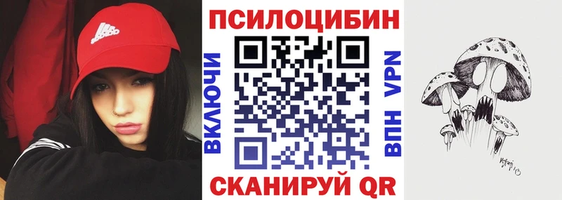 Галлюциногенные грибы Psilocybe  Черняховск 